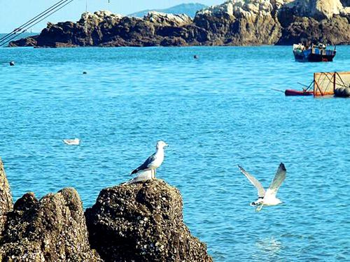 石城岛海边度假3日  ￥588