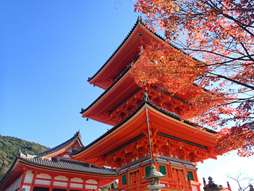 悠享日本全景6日游