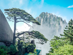 华东+黄山+千岛湖8天双飞 卓越