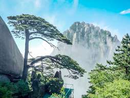 华东+黄山+千岛湖8天双飞 卓越