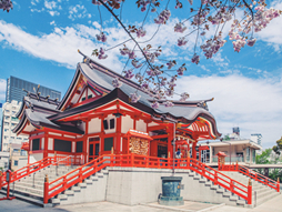  日本直飞舒心6天