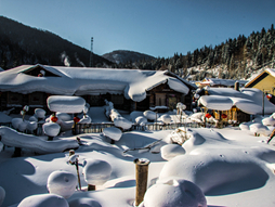 中国雪乡+雪谷2日 