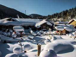 中国雪乡+雪谷2日 